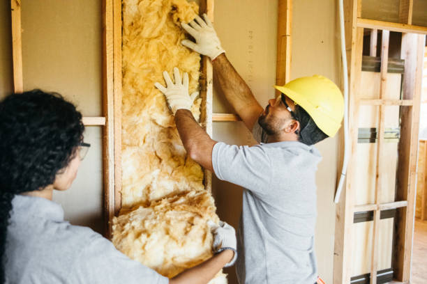 Best Crawl Space Insulation  in Wilmerding, PA